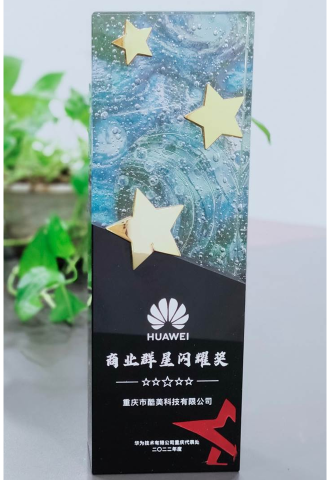 2022-華為(wèi)-商業(yè)群星閃耀獎